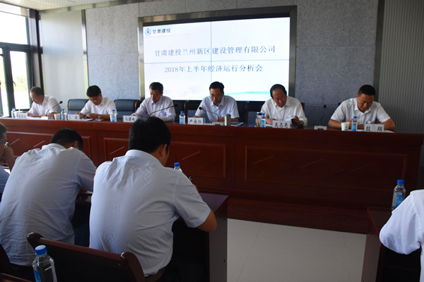新区公司召开上半年经济运行分析会