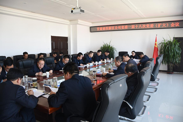 新区公司党委召开一届十八次党委（扩大）会议安排部署2019年党建重点工作