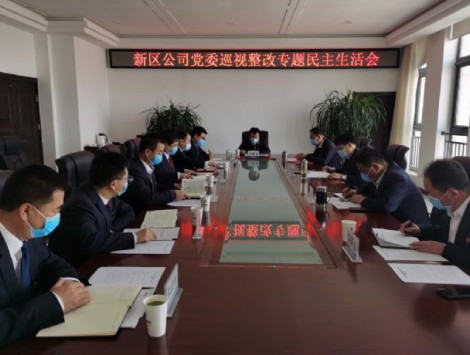 甘肃建投新区公司党委召开巡视整改专题民主生活会