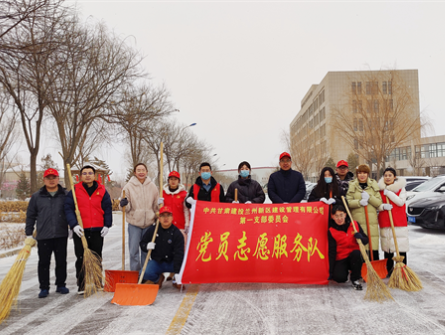 新区公司第一党支部开展学雷锋志愿服务活动